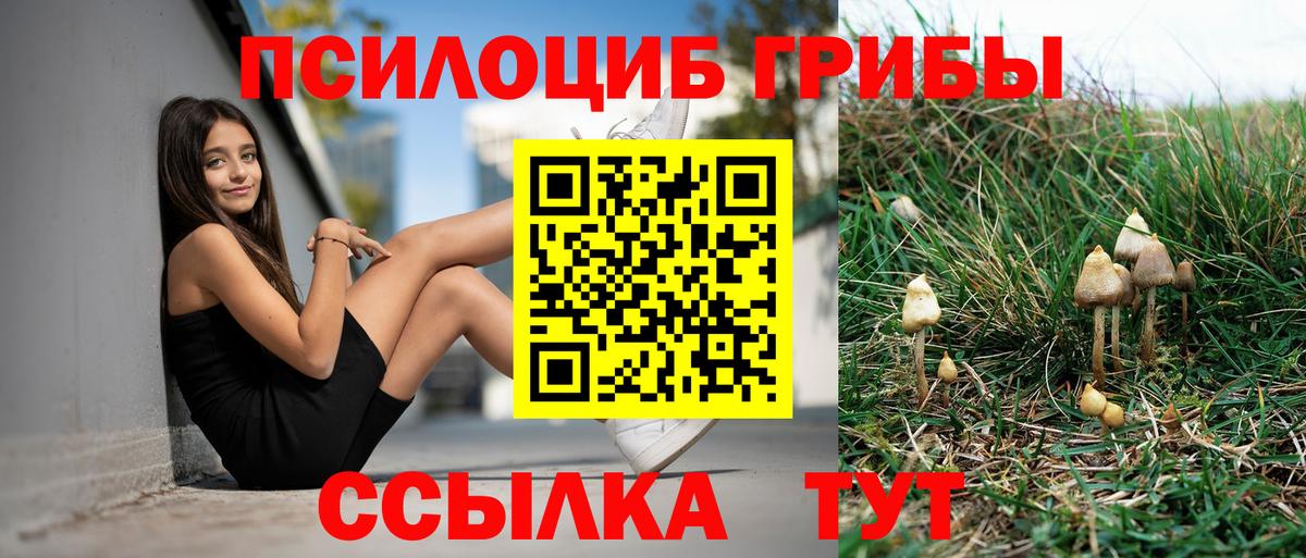 Псилоцибиновые грибы мицелий  где найти   Кириши  Вход с VPN 